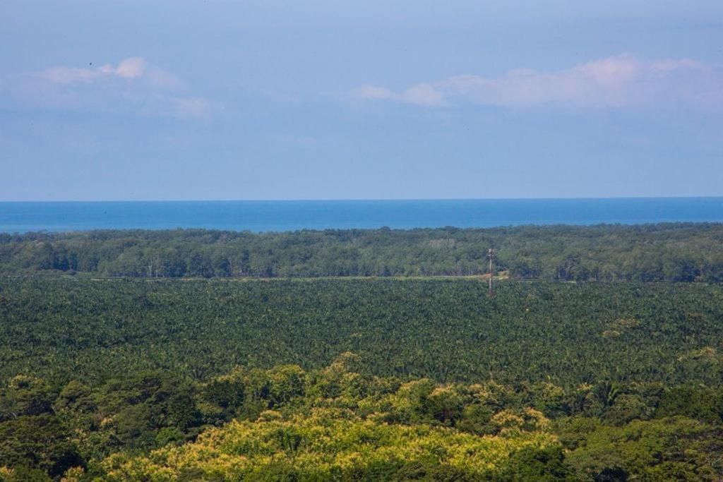 Villa Vista Hermosa - With Breathtaking Ocean View & Wifi Quepos Buitenkant foto